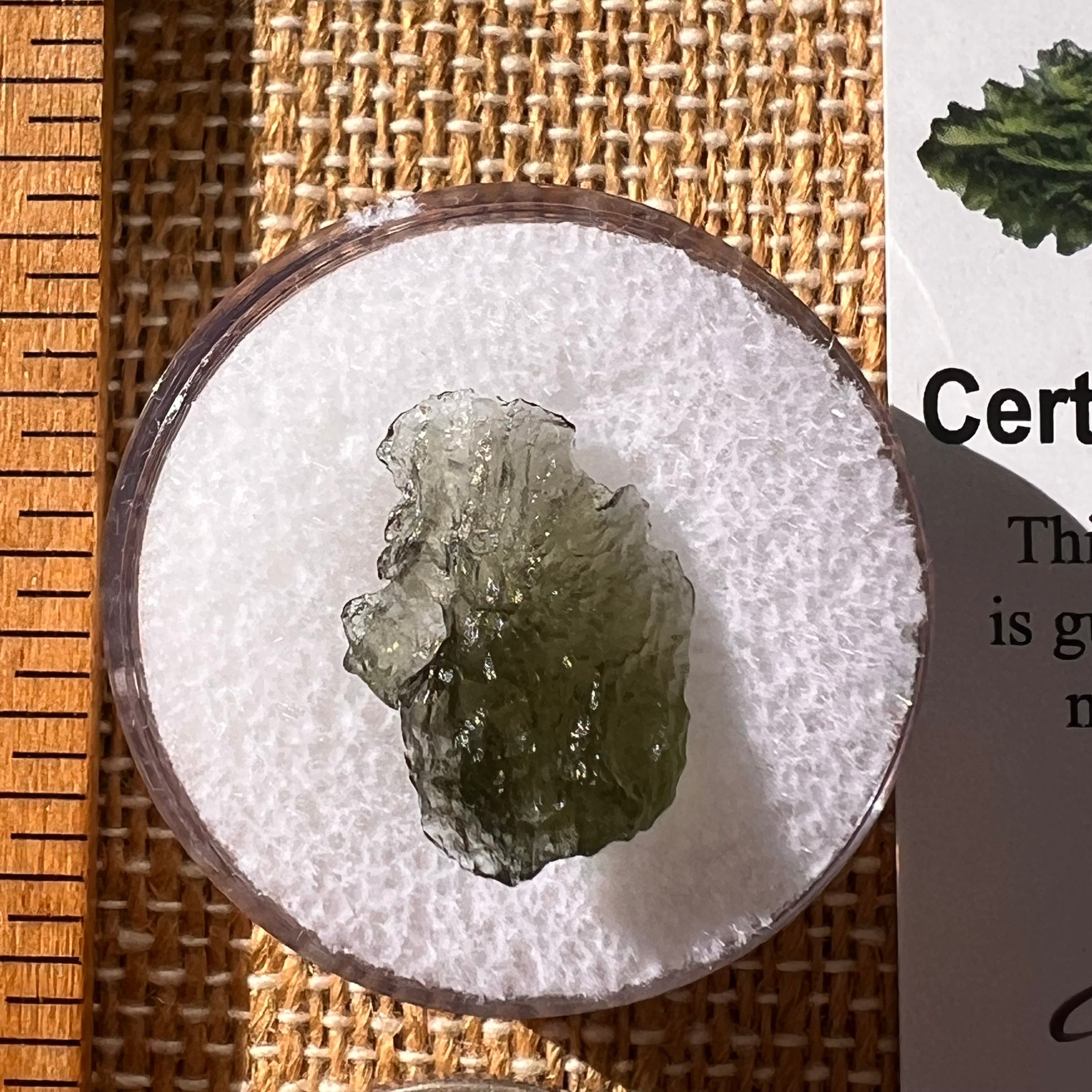 Moldavite 0.7 grams #2247-Moldavite Life