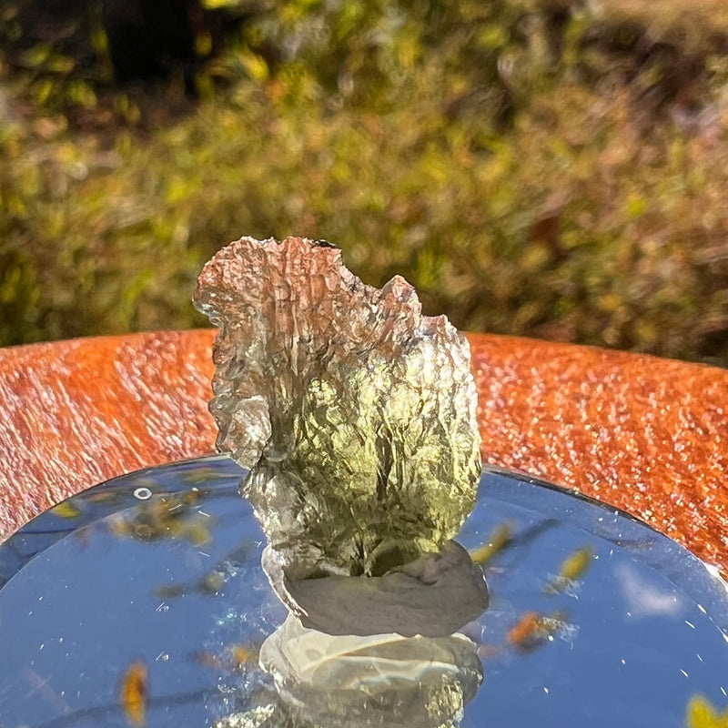 Moldavite 0.7 grams #2247-Moldavite Life