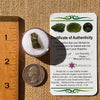 Moldavite 0.7 grams #2250-Moldavite Life