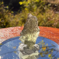 Moldavite 0.7 grams #2264-Moldavite Life