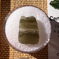 Moldavite 0.7 grams #2269-Moldavite Life
