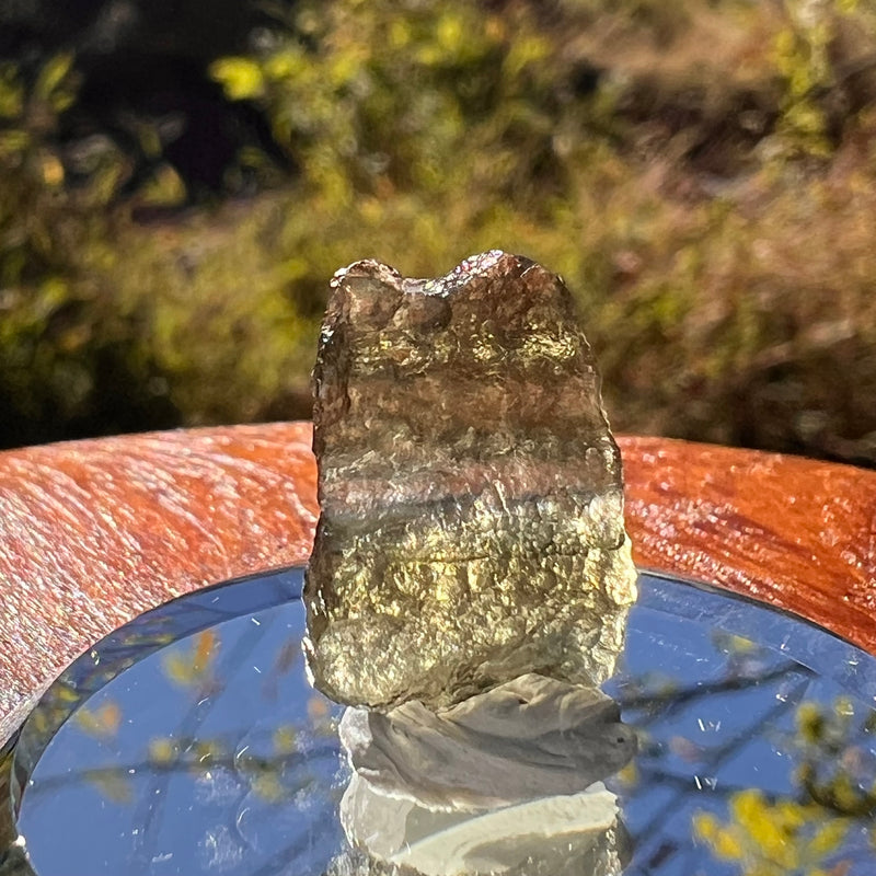 Moldavite 0.7 grams #2269-Moldavite Life