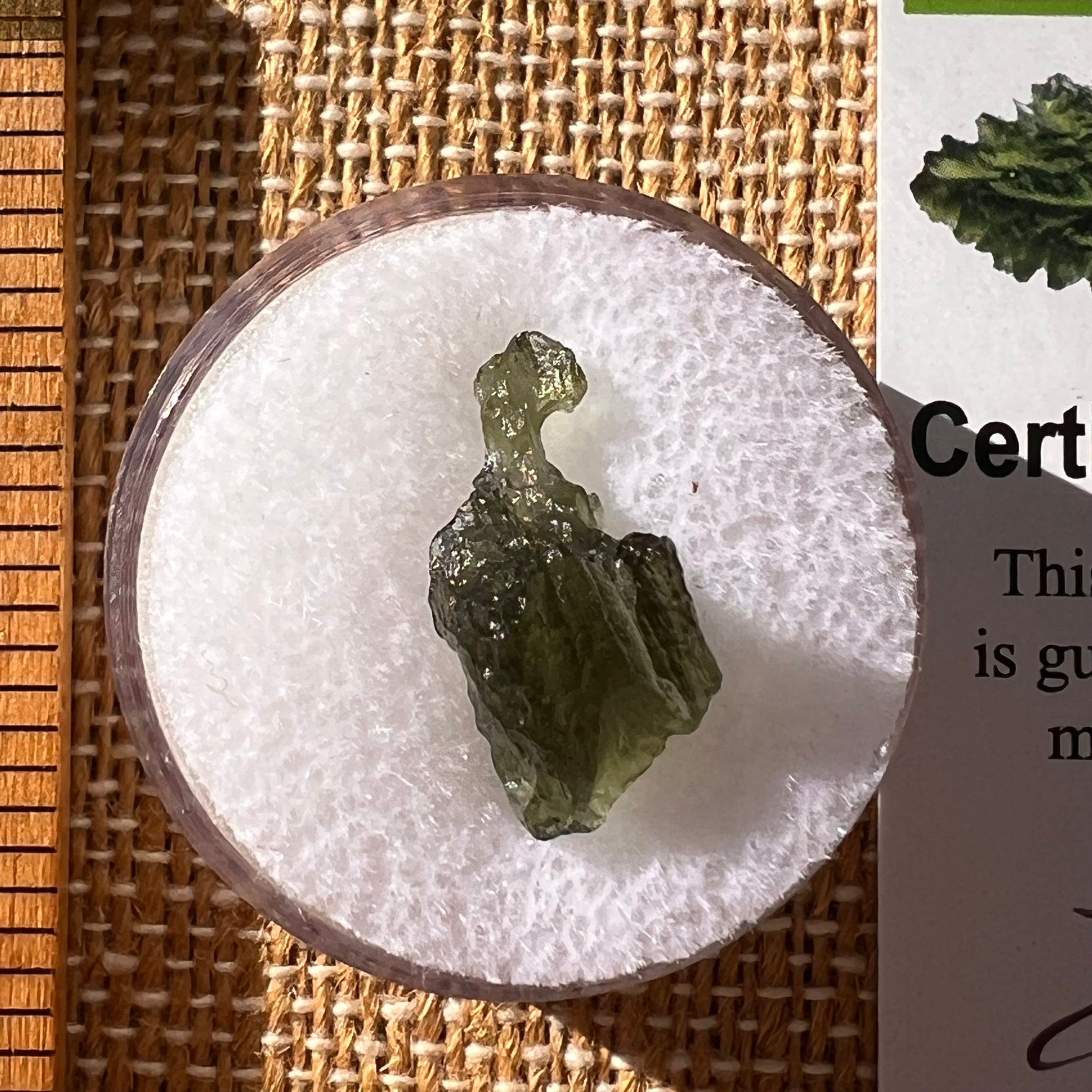 Moldavite 0.7 grams #2288-Moldavite Life