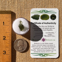 Moldavite 0.7 grams #2288-Moldavite Life