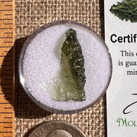 Moldavite 0.7 grams #2328-Moldavite Life