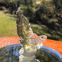 Moldavite 0.7 grams #2328-Moldavite Life