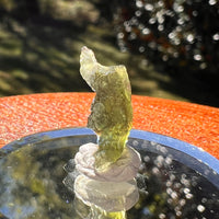 Moldavite 0.7 grams #2344-Moldavite Life