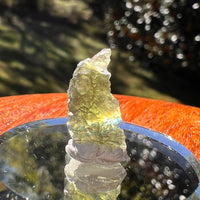 Moldavite 0.7 grams #2344-Moldavite Life
