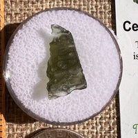 Moldavite 0.7 grams #2344-Moldavite Life