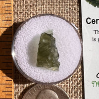 Moldavite 0.7 grams #2344-Moldavite Life