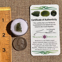 Moldavite 0.7 grams #2344-Moldavite Life