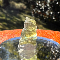 Moldavite 0.7 grams #2344-Moldavite Life