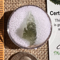 Moldavite 0.7 grams #2345-Moldavite Life