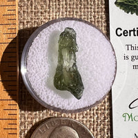 Moldavite 0.7 grams #2347-Moldavite Life