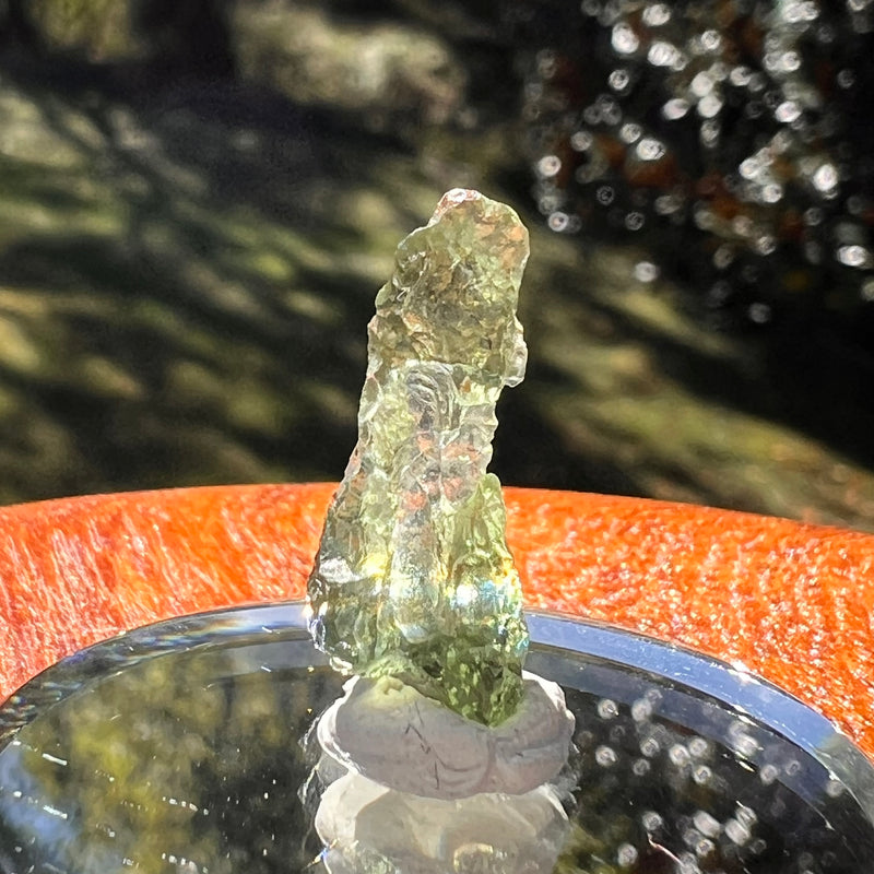 Moldavite 0.7 grams #2347-Moldavite Life