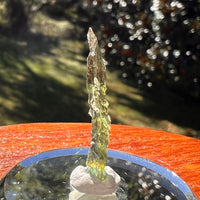Moldavite 0.7 grams #2353-Moldavite Life