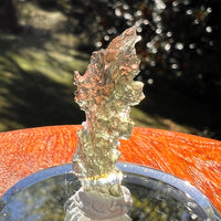 Moldavite 0.7 grams #2353-Moldavite Life