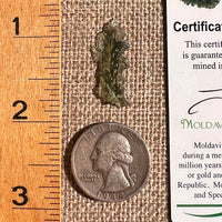 Moldavite 0.7 grams #2353-Moldavite Life