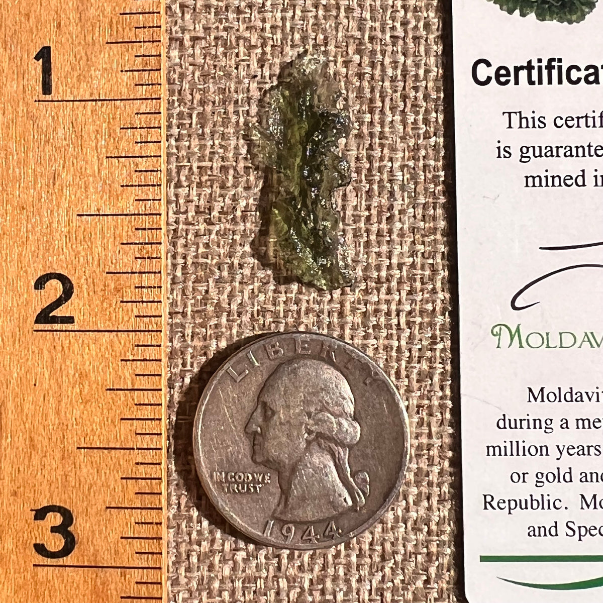 Moldavite 0.7 grams #2353-Moldavite Life