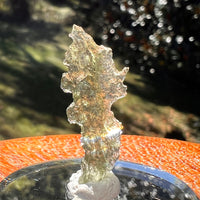 Moldavite 0.7 grams #2353-Moldavite Life