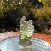 Moldavite 0.7 grams Natural Hole #2296-Moldavite Life