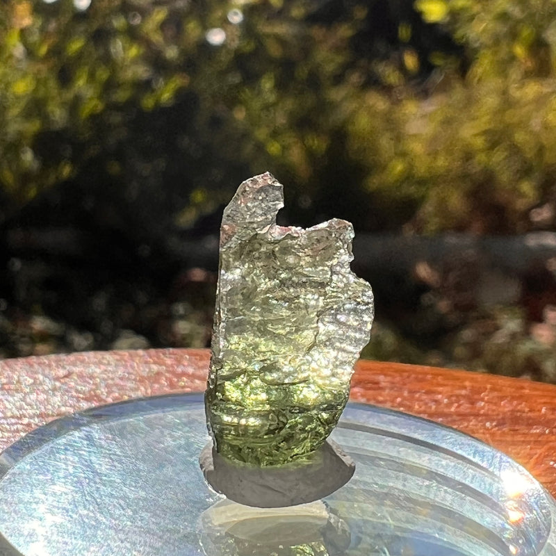 Moldavite 0.7 grams Natural Hole #2296-Moldavite Life