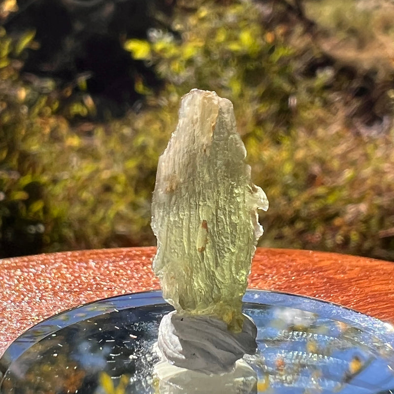 Moldavite 0.8 gram #2266-Moldavite Life