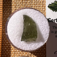 Moldavite 0.8 gram #2270-Moldavite Life