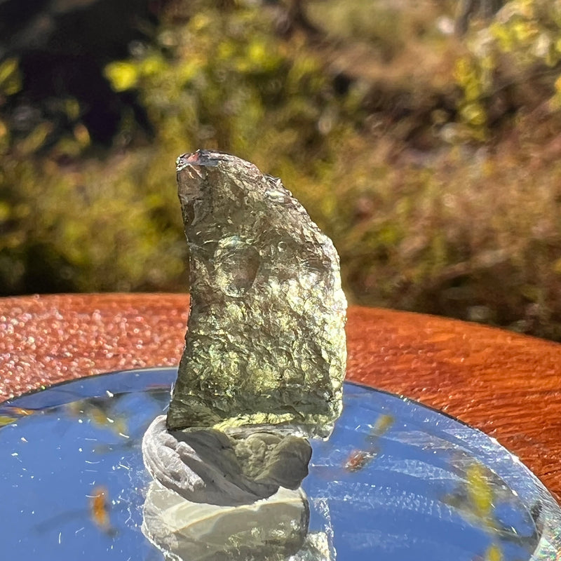 Moldavite 0.8 gram #2270-Moldavite Life