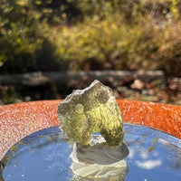 Moldavite 0.8 gram #2287-Moldavite Life