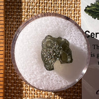 Moldavite 0.8 gram #2287-Moldavite Life