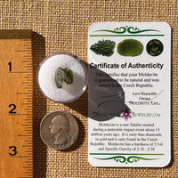 Moldavite 0.8 gram #2287-Moldavite Life