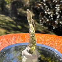 Moldavite 0.8 gram #2338-Moldavite Life