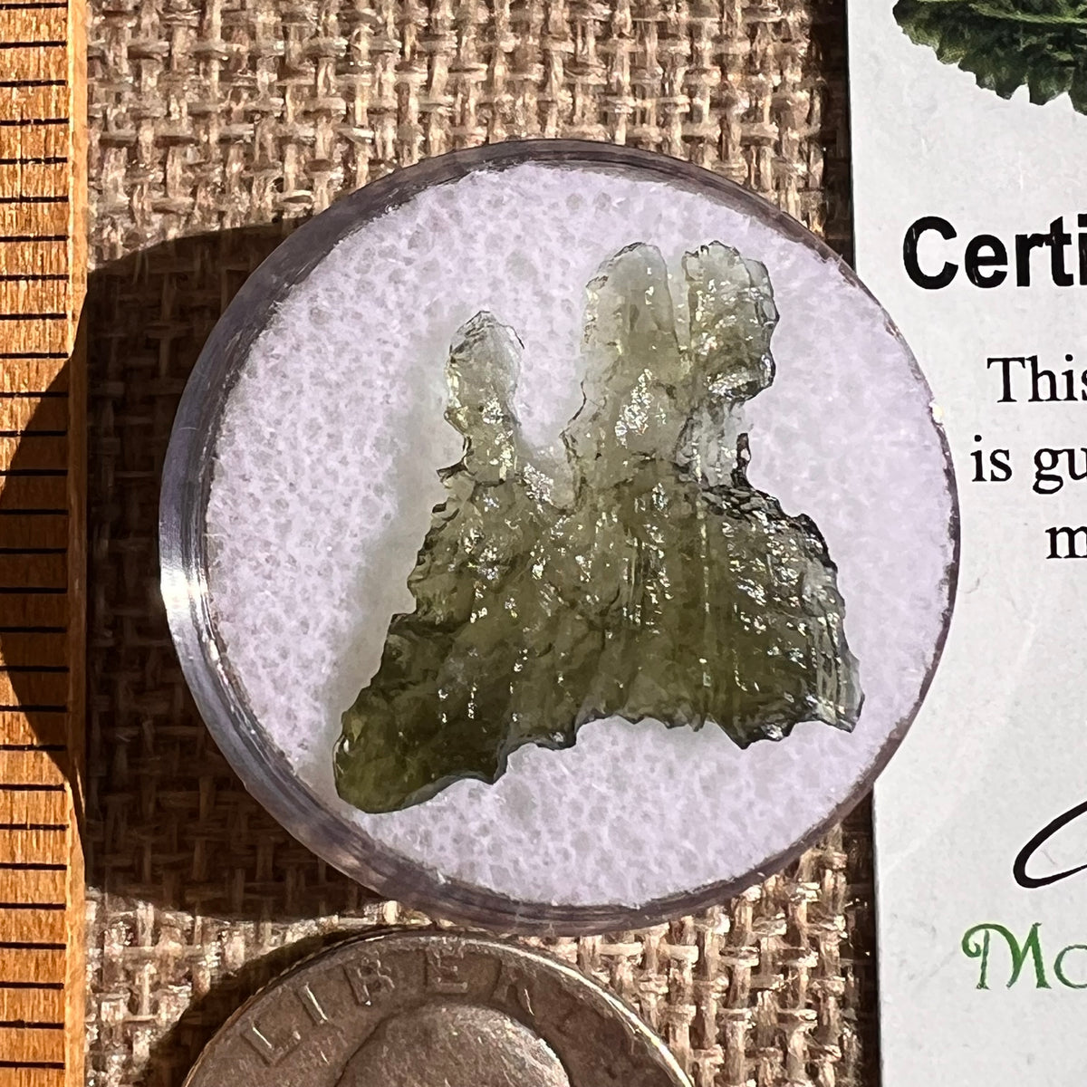 Moldavite 0.8 gram #2338-Moldavite Life
