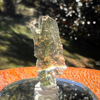 Moldavite 0.8 gram #2355-Moldavite Life