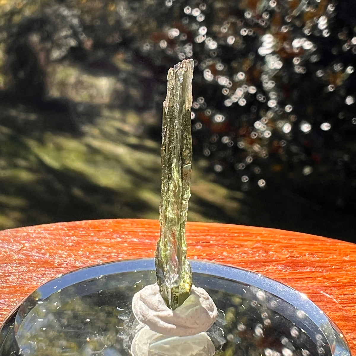Moldavite 0.8 gram #2355-Moldavite Life
