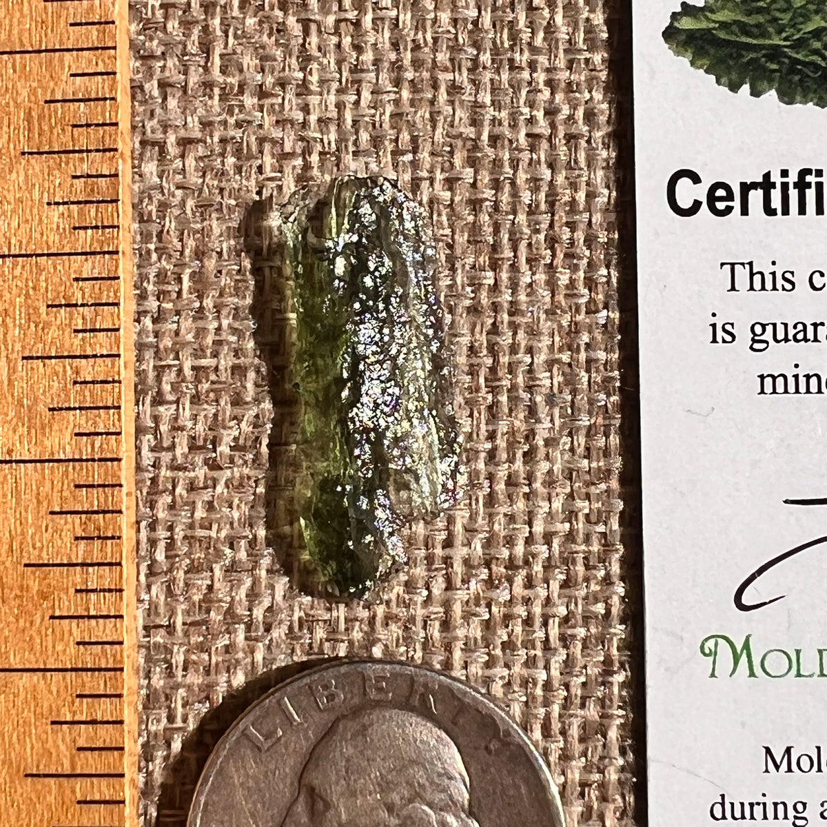 Moldavite 0.8 gram #2355-Moldavite Life
