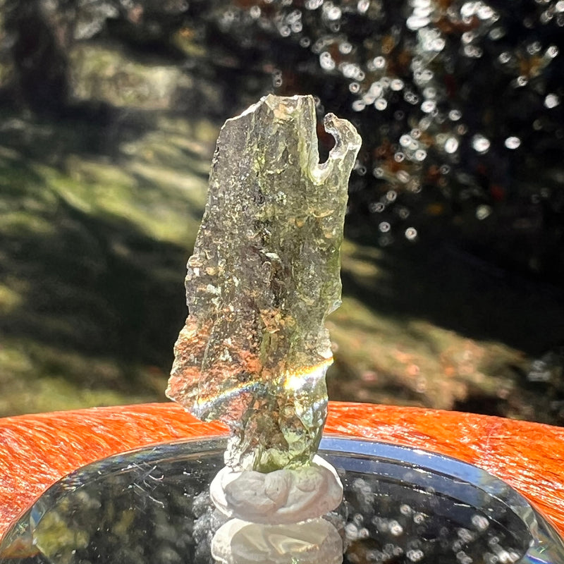 Moldavite 0.8 gram #2355-Moldavite Life