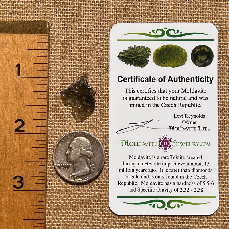 Moldavite 0.8 grams #1676-Moldavite Life