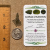 Moldavite 0.8 grams #1677-Moldavite Life