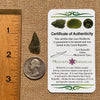 Moldavite 0.8 grams #1678-Moldavite Life