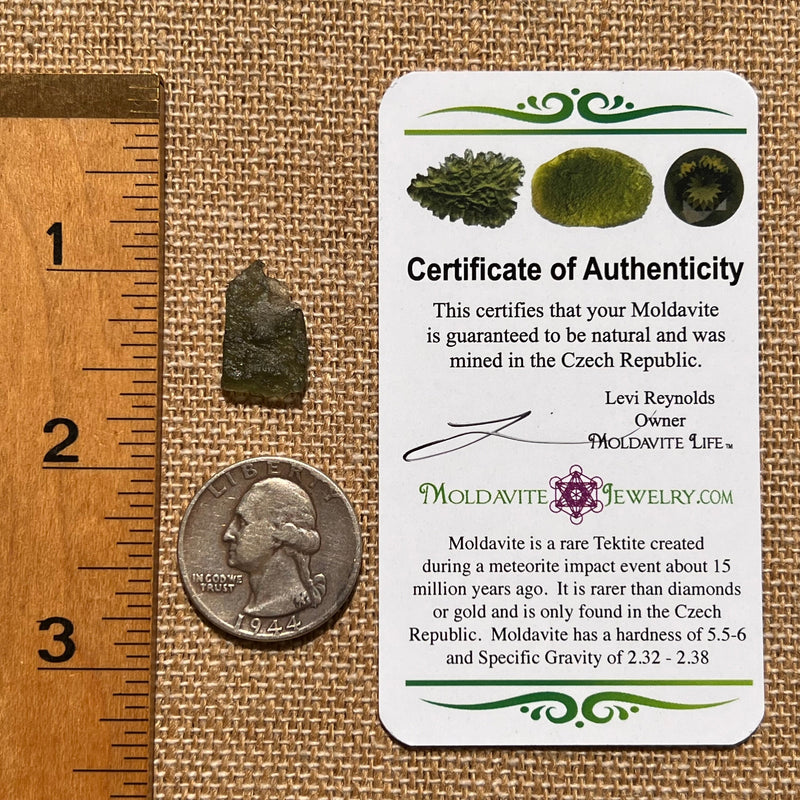 Moldavite 0.8 grams #1682-Moldavite Life