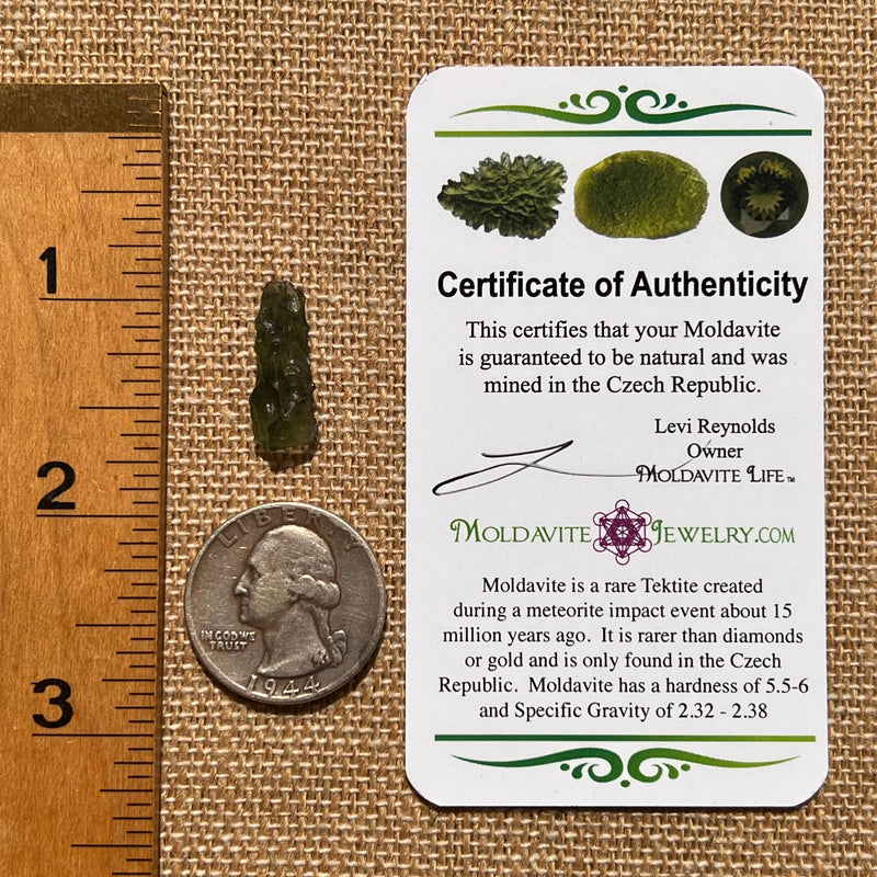 Moldavite 0.8 grams #1688-Moldavite Life