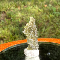 Moldavite 0.8 grams #1689-Moldavite Life