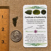 Moldavite 0.8 grams #1689-Moldavite Life