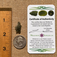 Moldavite 0.8 grams #1690-Moldavite Life