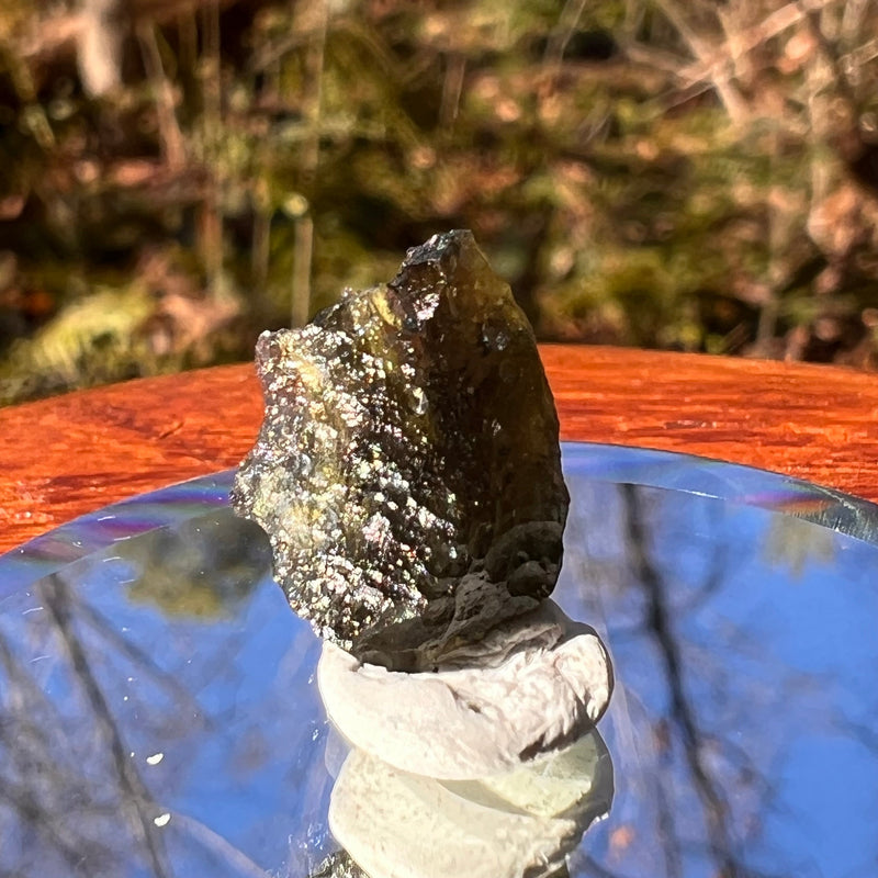 Moldavite 0.8 grams #1765-Moldavite Life