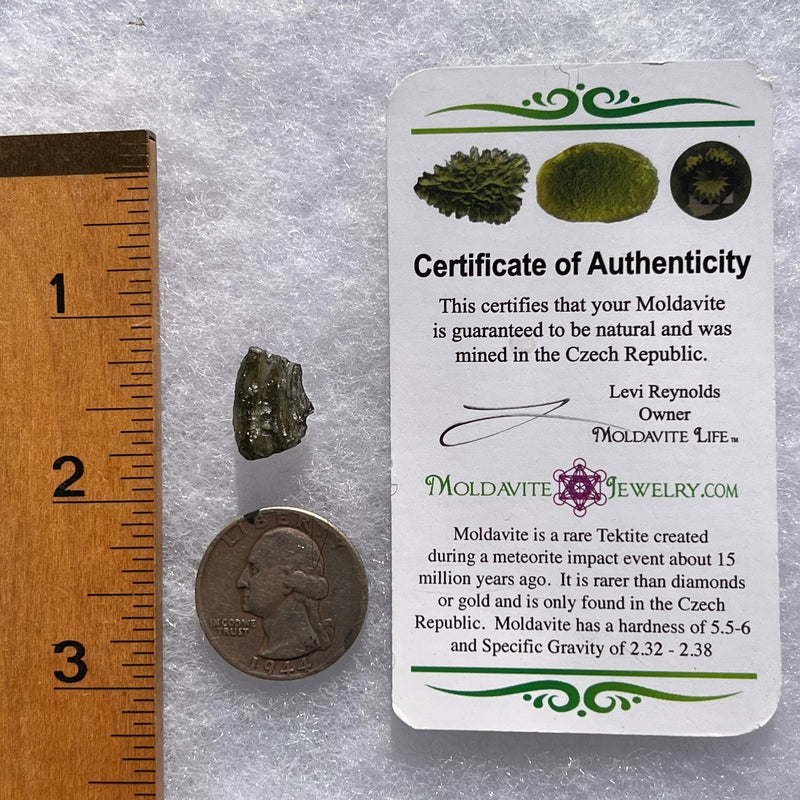 Moldavite 0.8 grams #1765-Moldavite Life