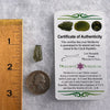 Moldavite 0.8 grams #1779-Moldavite Life