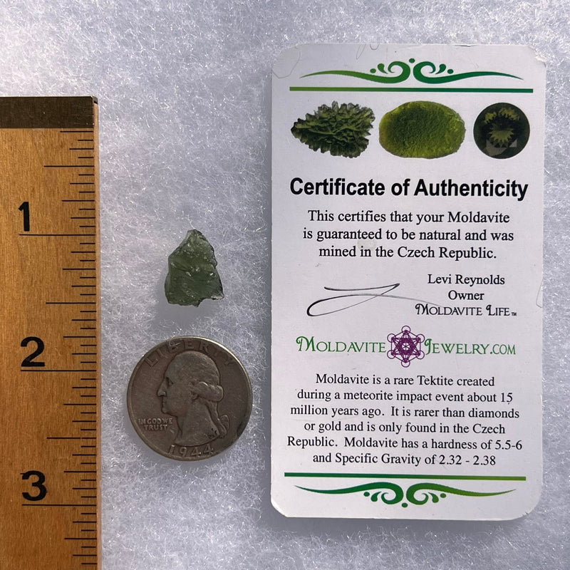 Moldavite 0.8 grams #1792-Moldavite Life